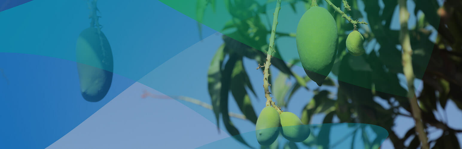 Sustainable Development