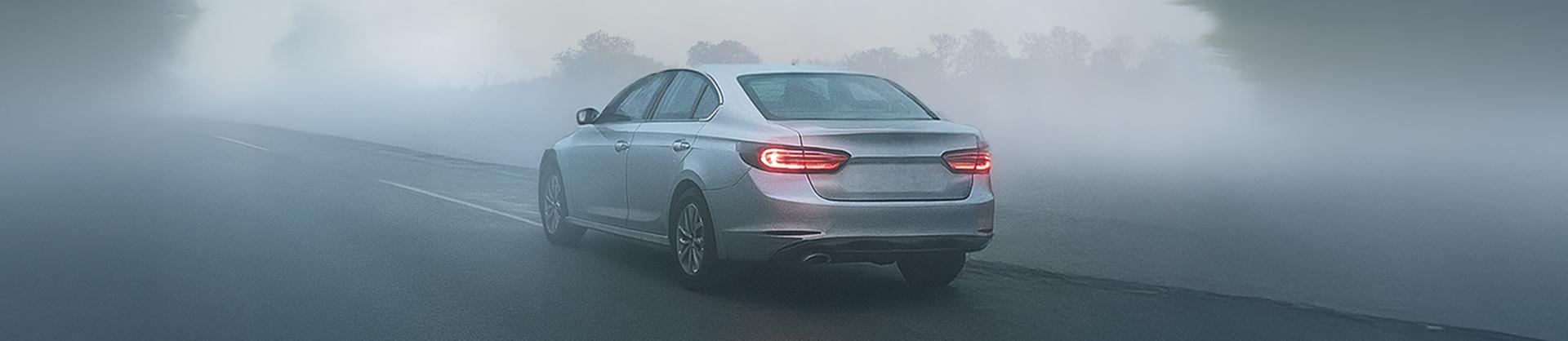 Exploring India in winters: Road trips you must go for