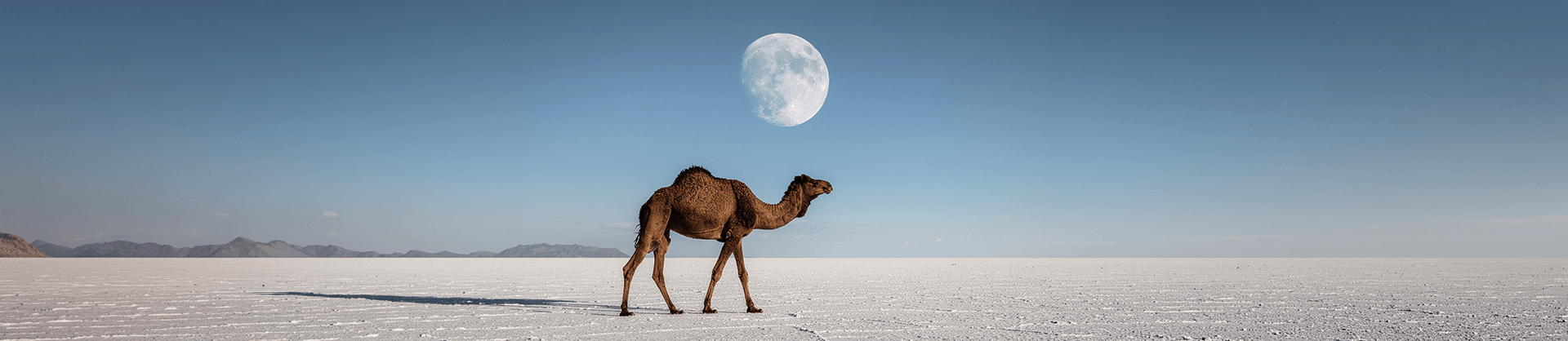 Road Trip to Rann of Kutch: The White Desert Drive You’ll Never Forget